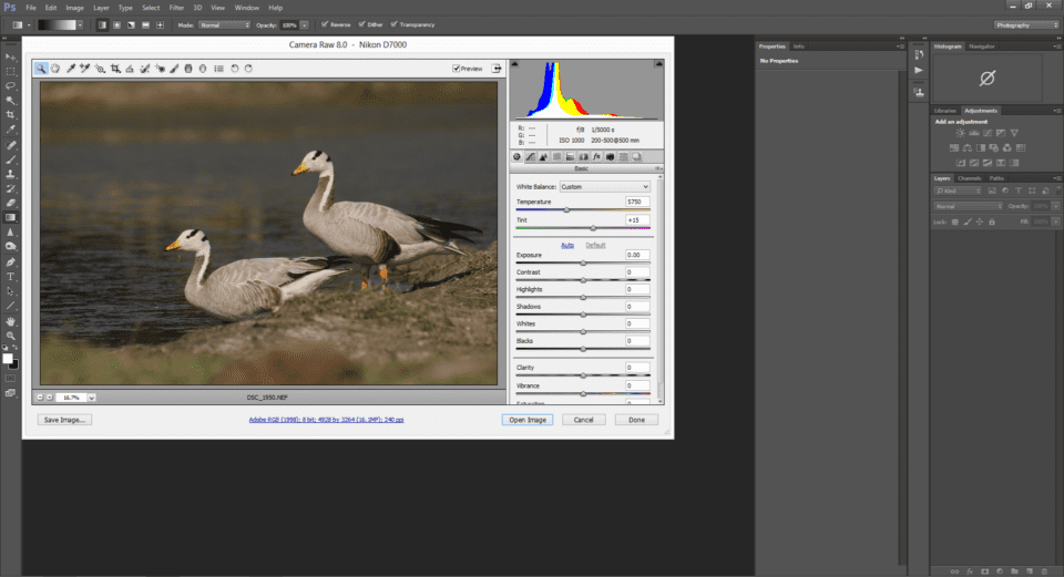 Opening a RAW File in Photoshop