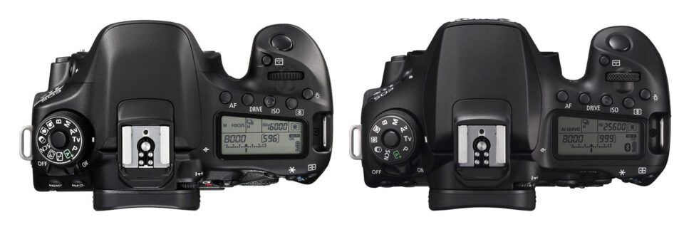 Canon 80D vs 90D Top View