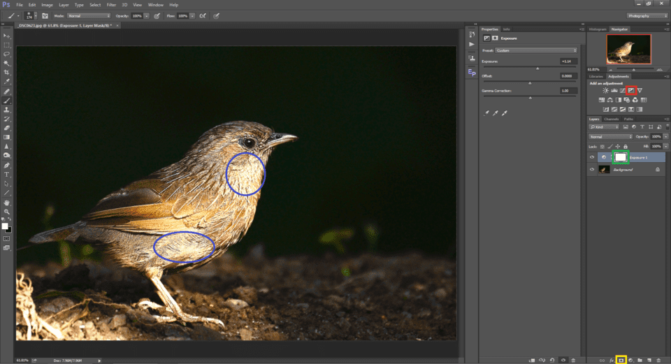 Layer Masks in Photoshop