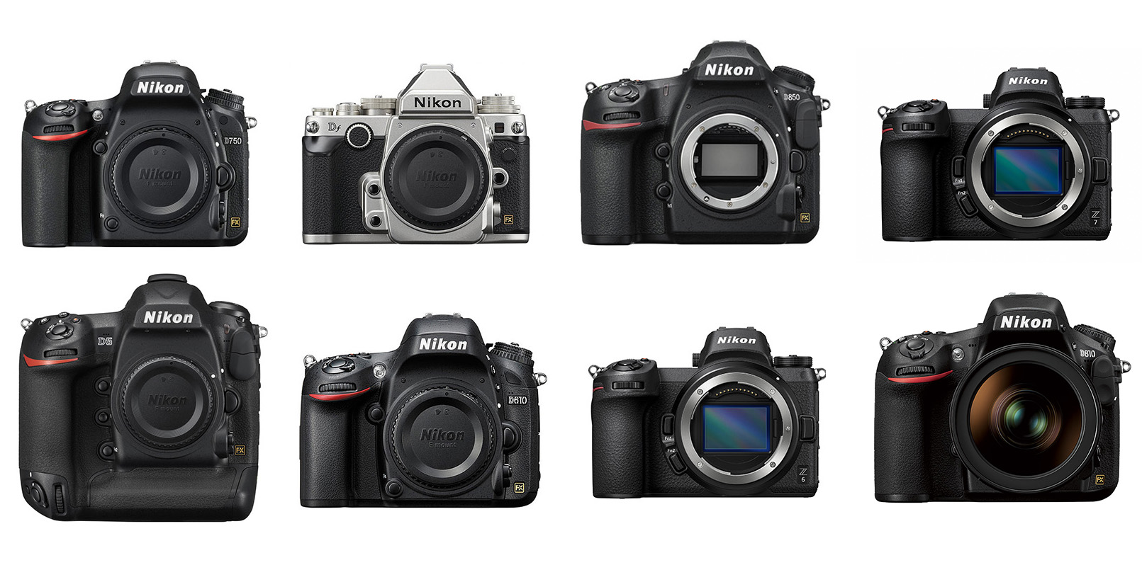 Voorrecht Specimen Wedstrijd Every Nikon Full-Frame Camera (FX) in 2023, Compared