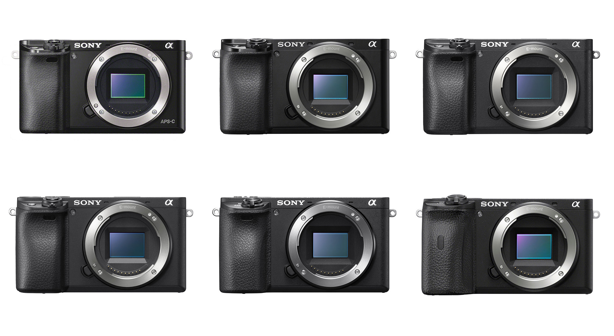 カメラ デジタルカメラ Sony A6x00 Series Comparison (A6000, A6100, A6300, A6400, A6500 