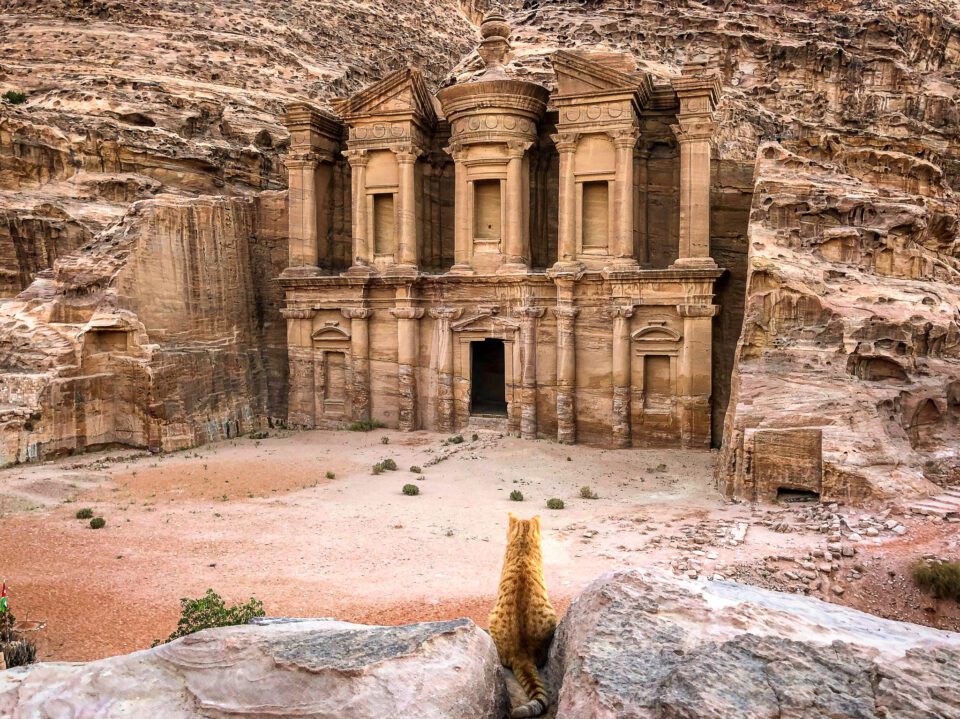 An image of a cat sitting in front of the Monastery of Petra, Jordan - aspect ratio in photography