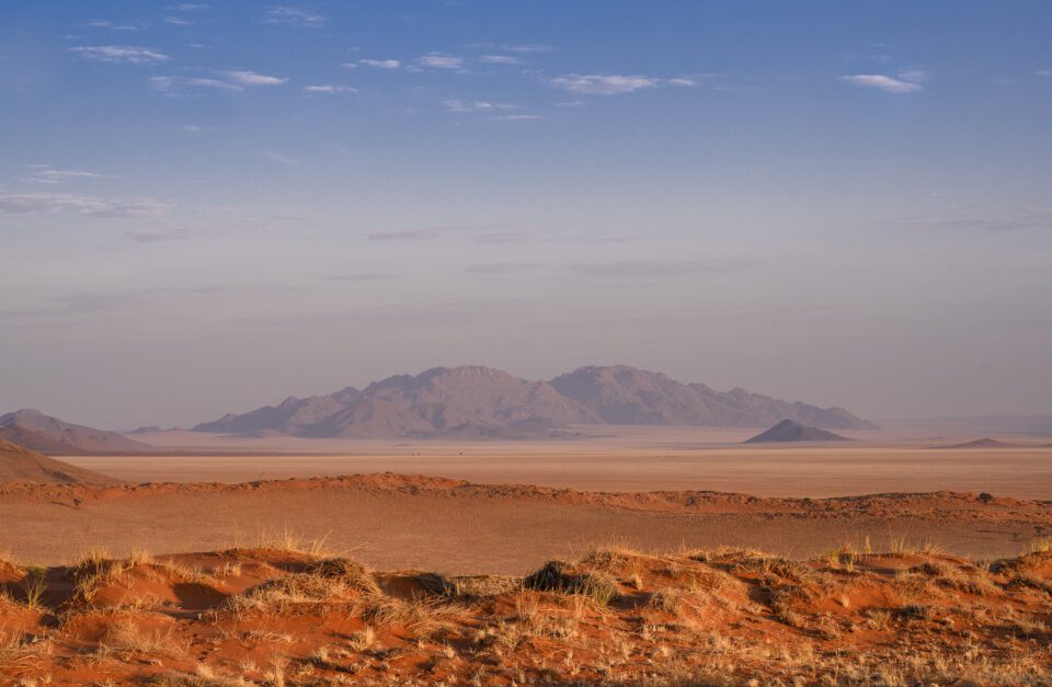 A close up of a desert field with a mountain in the background