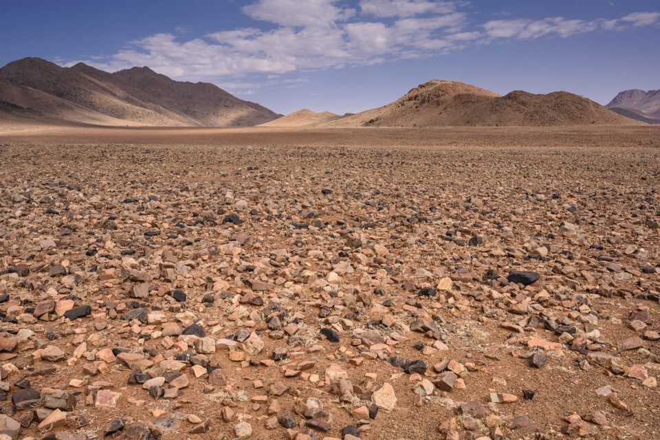 A close up of a desert field in Namibia with a mountain in the background