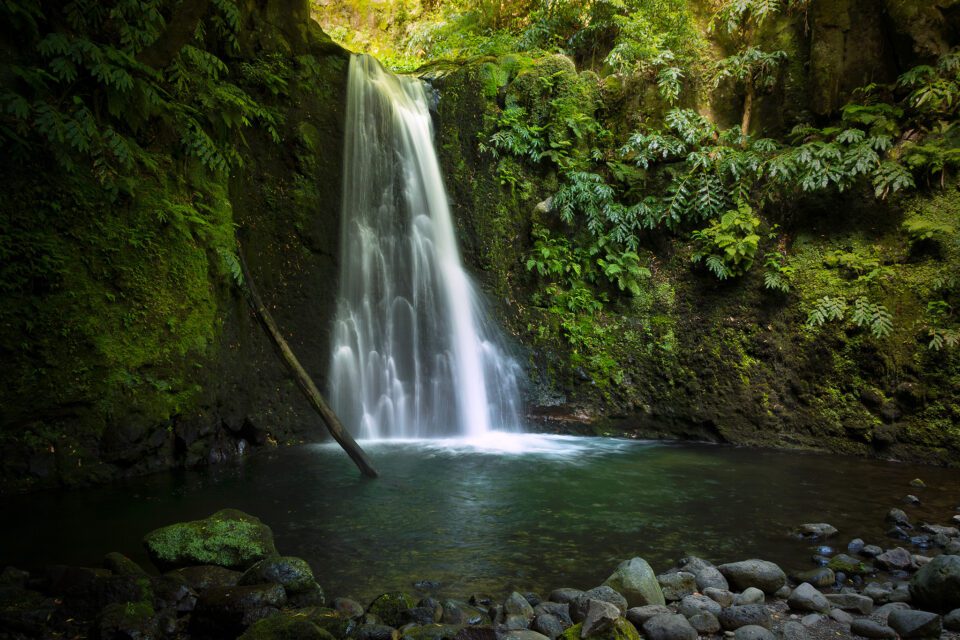 A waterfall in São Miguel Island, Azores