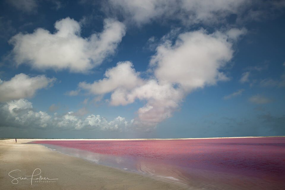Pink Lagoons – Las Coloradas, Mexico