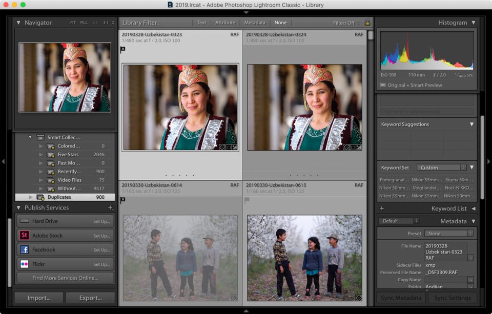 find duplicates lightroom plugin