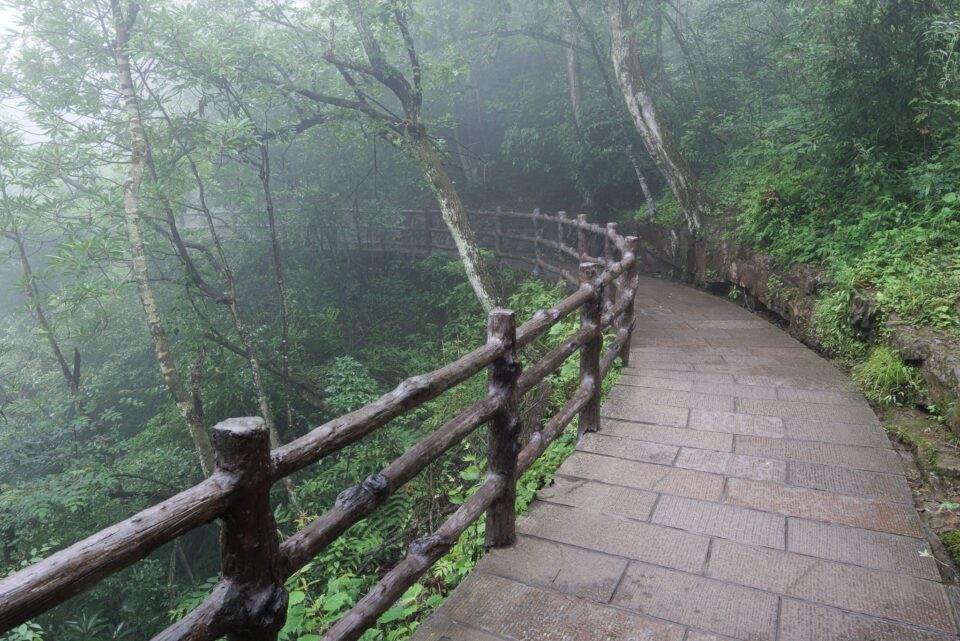A stone walkway winds through a misty forest in China's Zhangjiajie National Forest Park.
