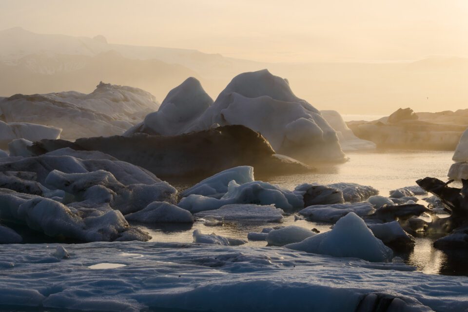 This photo of icebergs in Jokulsarlon lagoon has beautiful golden colors, because snow and ice tend to reflect the colors of the light around them.