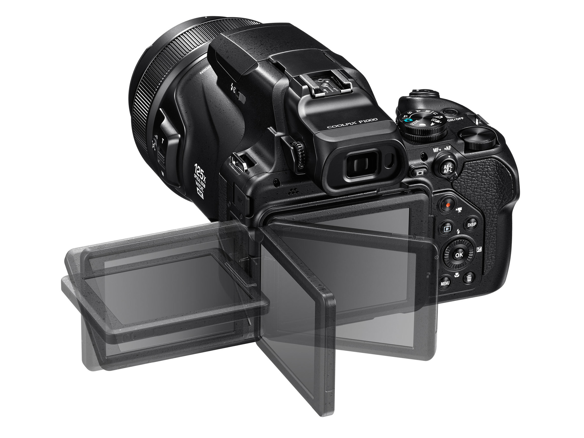 Grondwet Dapper Extra Nikon Coolpix P1000 Review - Photography Life