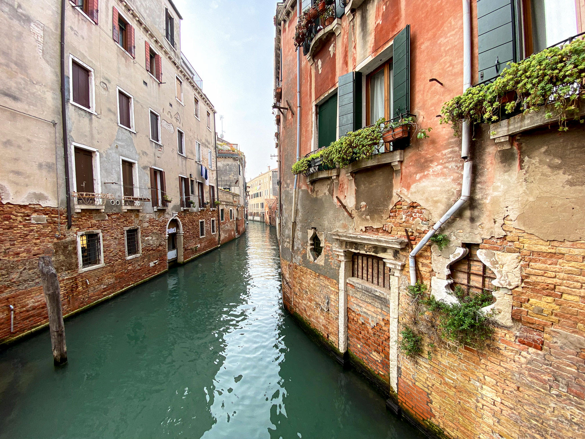 Venice, Italy iPhone 11 Pro Max @ 1.54mm, ISO 20, 1/180, f/2.4.