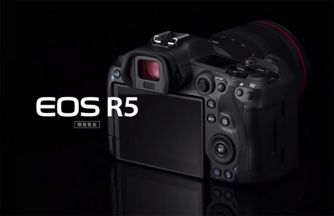 Canon EOS R5 Back