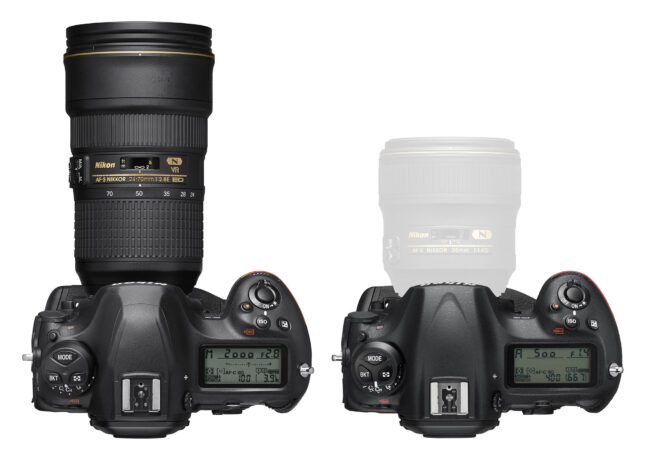 Nikon D6 vs D5 Top
