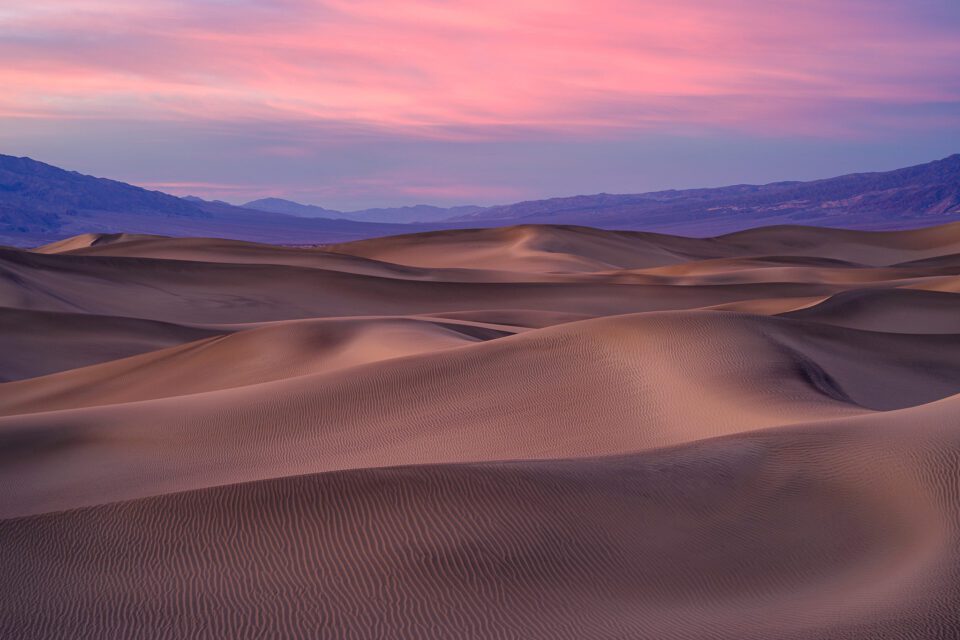 Mesquite Dunes at Sunset