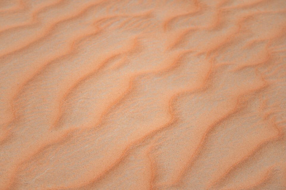 Nikon D780 Sand Dune Patterns