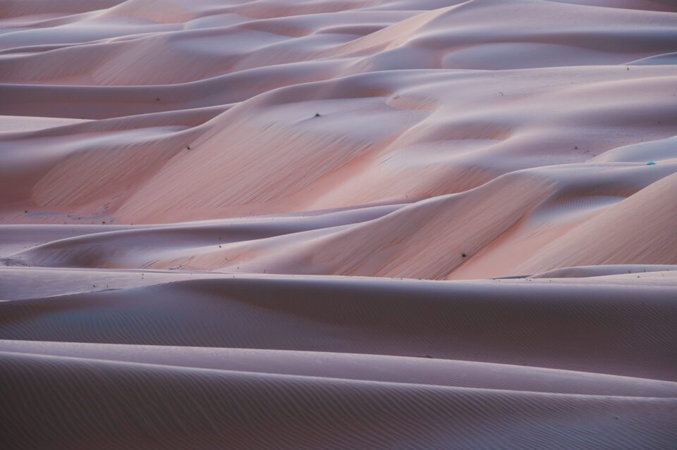 Nikon D780 Sand Dunes Abstract