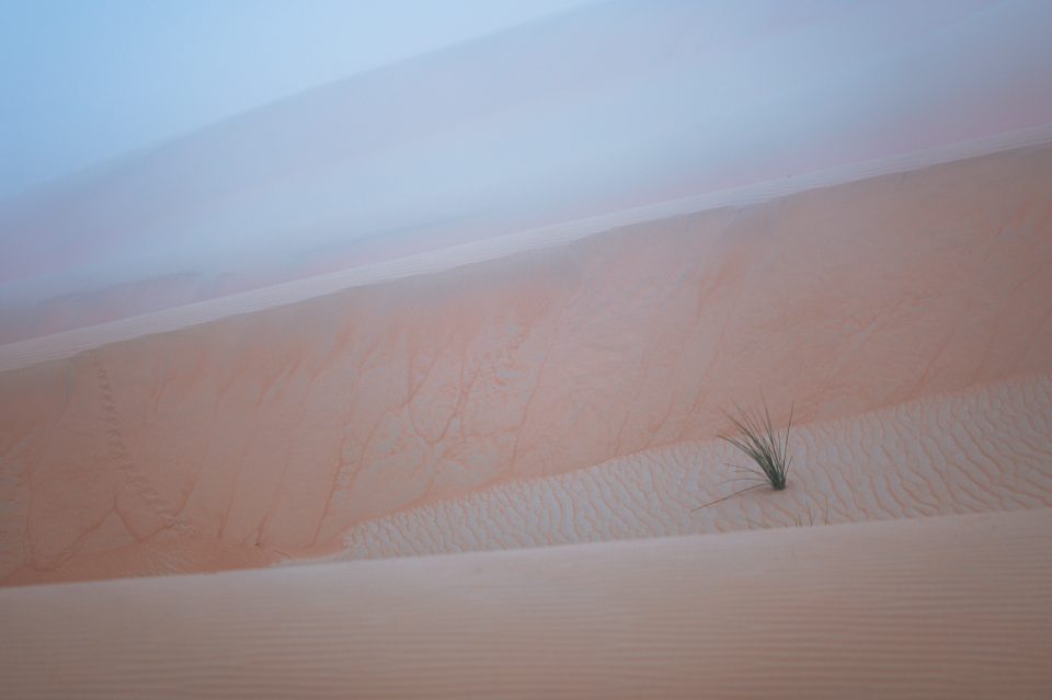 Liwa Desert Foggy Morning