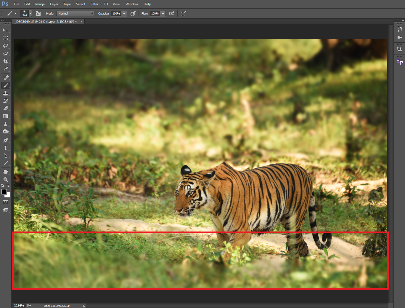 How to Blur Background in Photoshop Using Lens Blur
