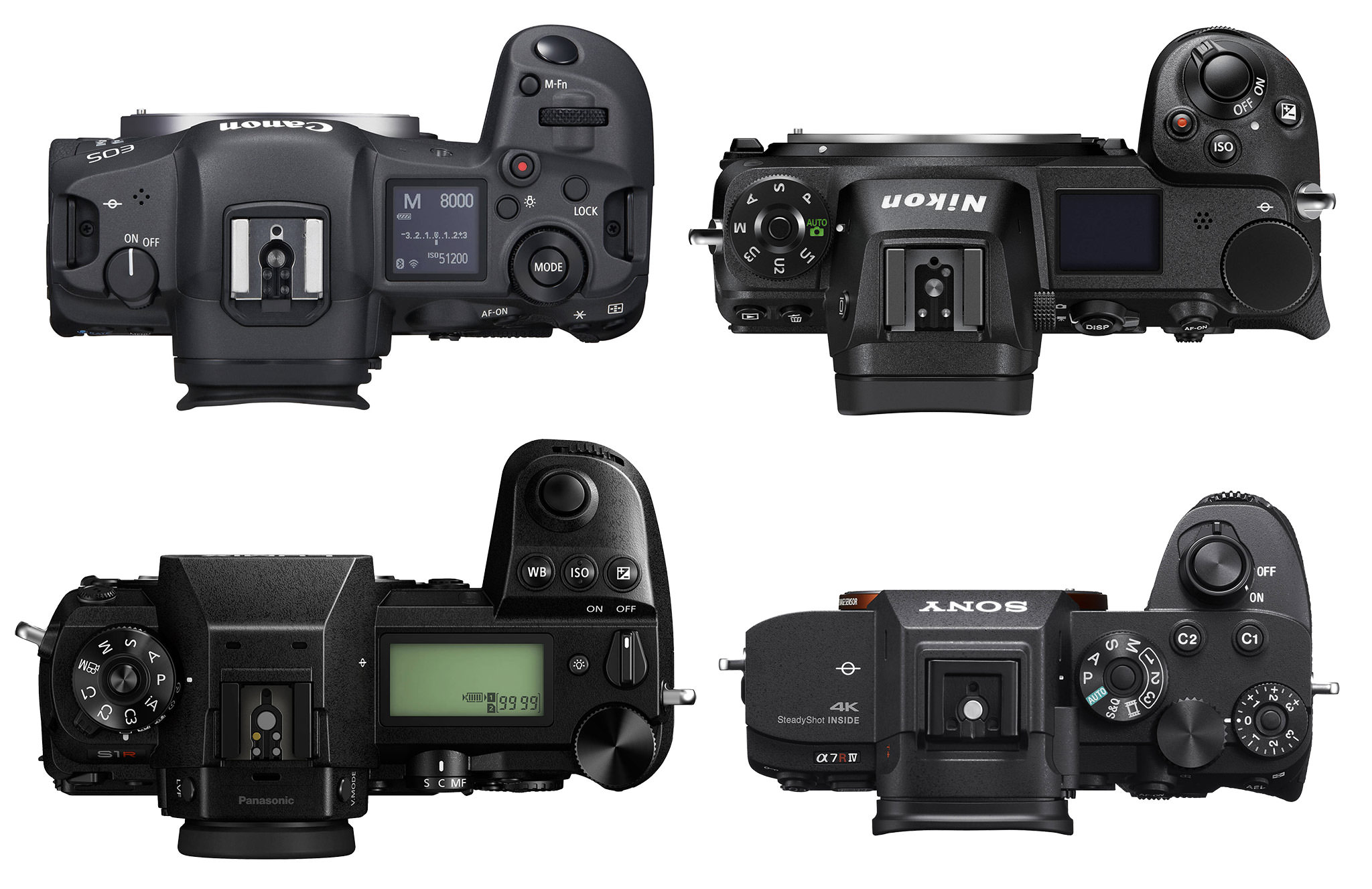 Bliksem beha piramide Canon EOS R5 vs Nikon Z7 vs Panasonic S1R vs Sony A7R IV Comparison