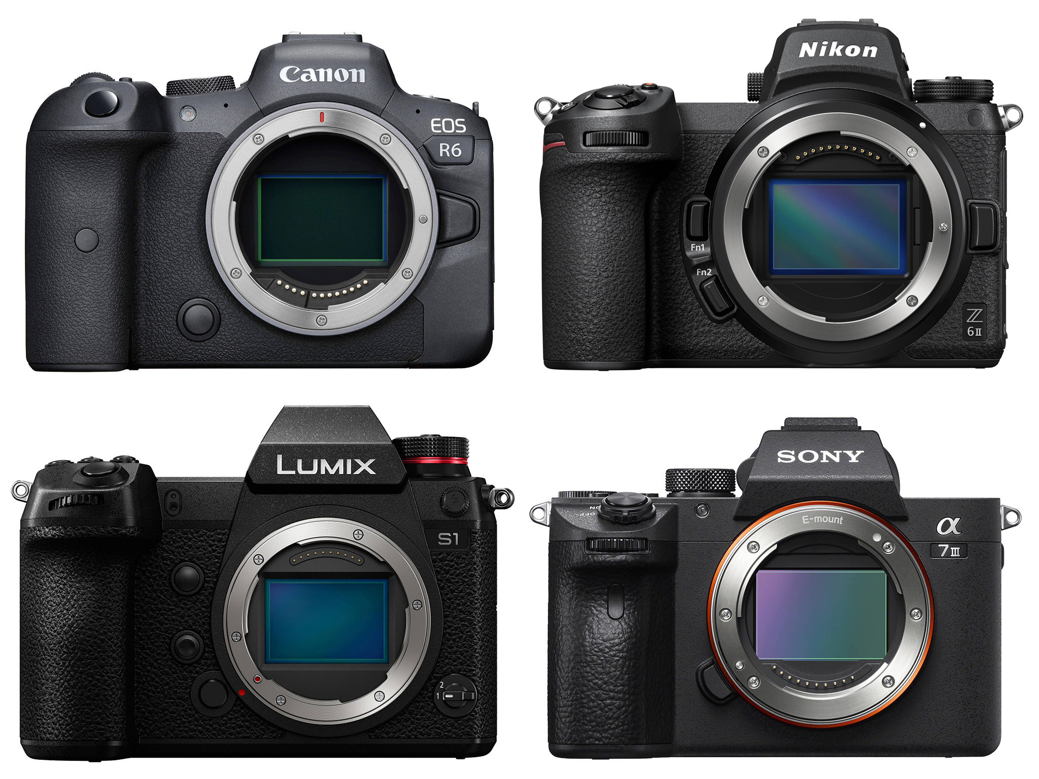 Real Life Comparison of the Sony a7R III, the Nikon Z 7, and the Canon EOS  R