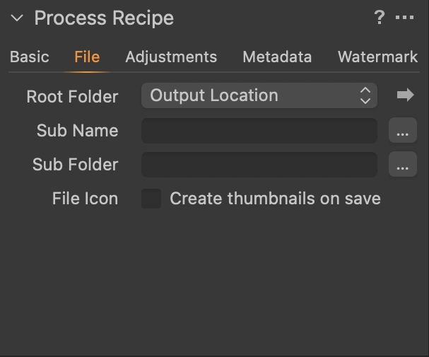 Capture One Process Recipe File Tab