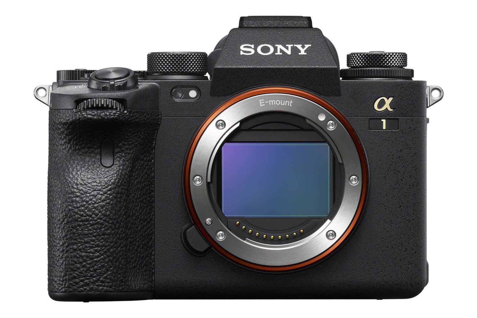 The Best Mirrorless Cameras of 2025, Ranked