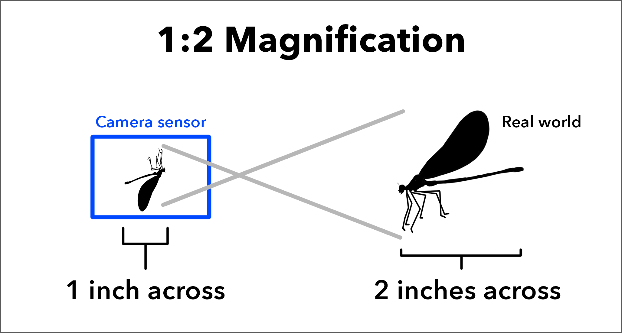 magnifying lens diagram