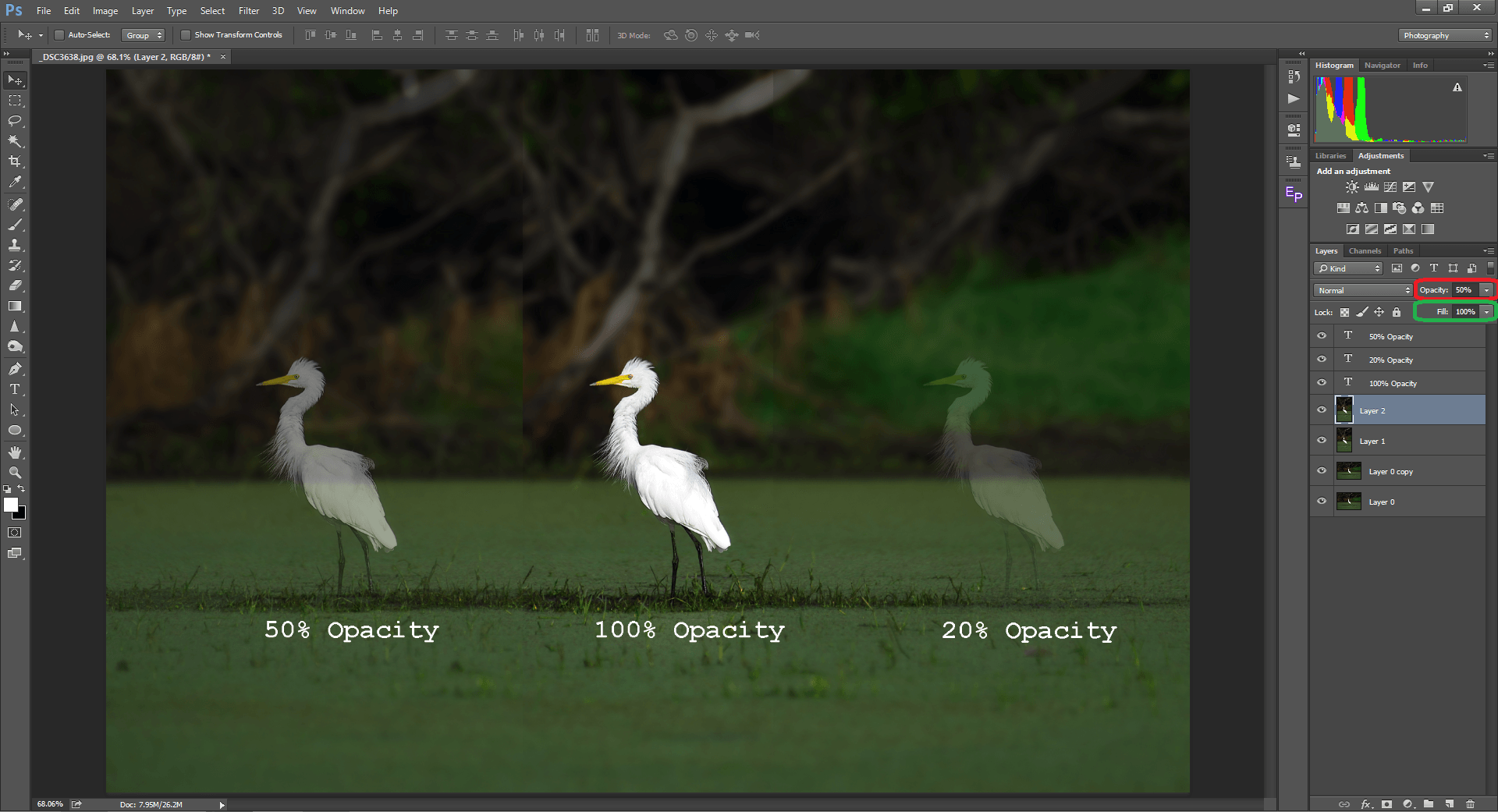 segment vinge Broom How to Blend Layers in Photoshop: Blend Modes Explained