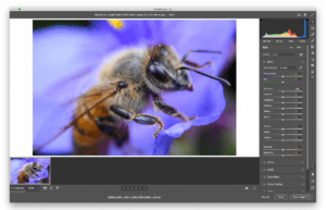 JPEG in Adobe Camera Raw