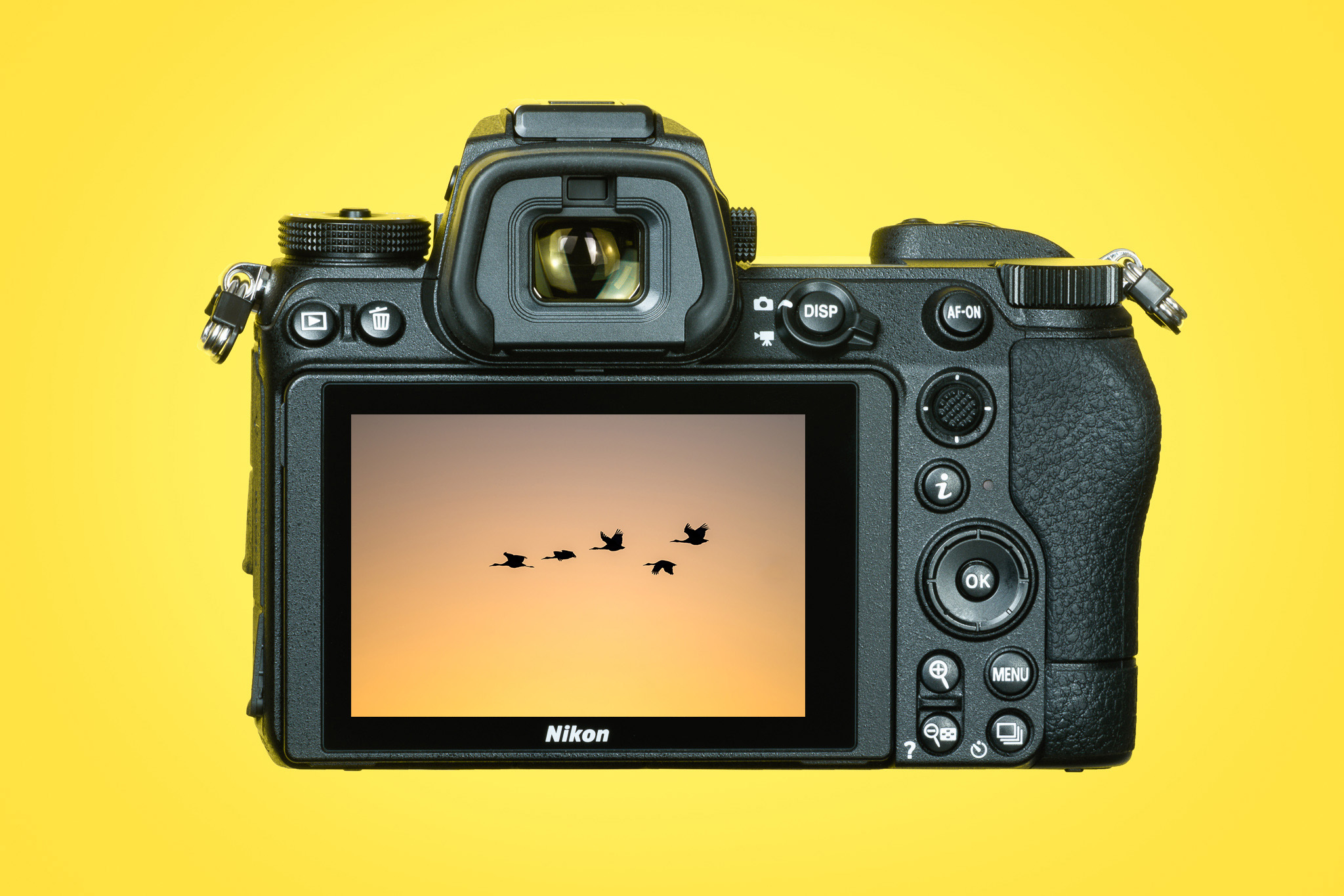 Nikon Z6 II Review - Glasgow photographer