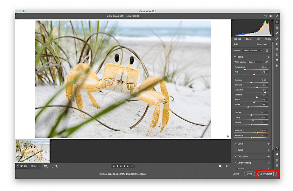 Open Smart Object from Adobe Camera Raw