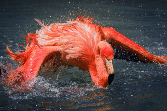 How to Take Better Photographs Outdoors