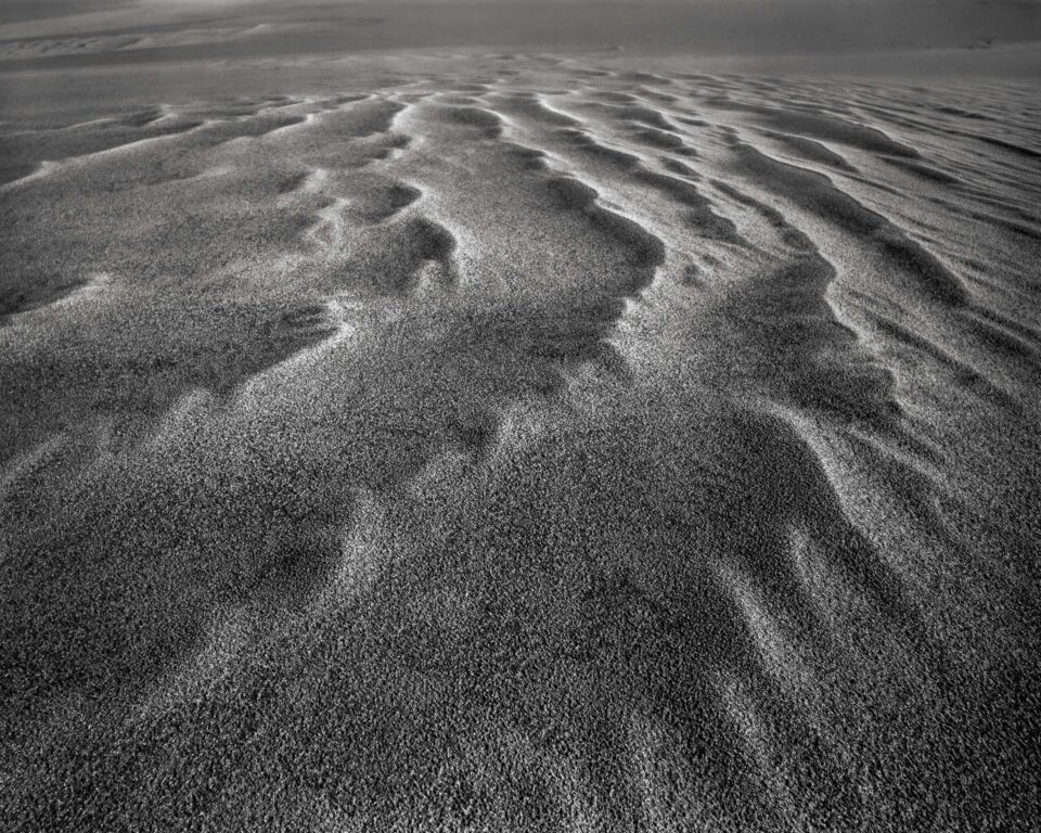 Sand Dune Soft Focus B&W Abstract