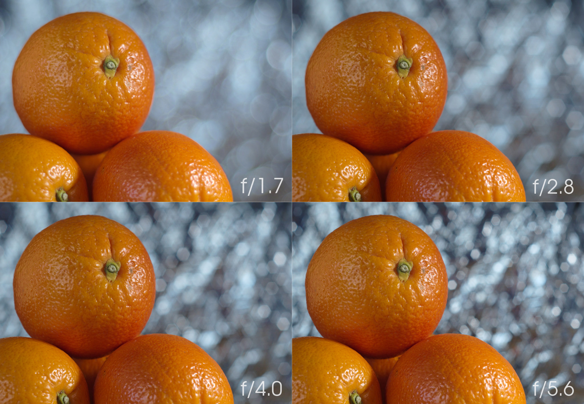 How to Get a Blurred Background in Your Photos
