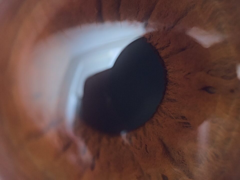 A_brown_human_eye