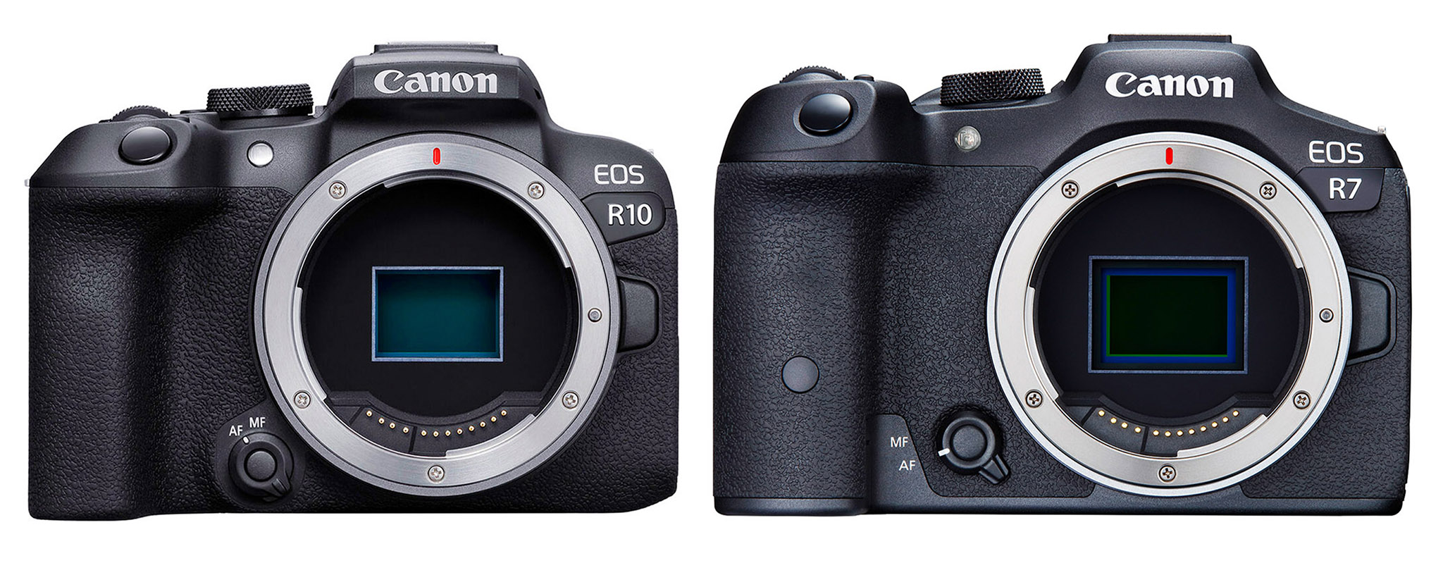 The Canon EOS R7 and Canon EOS R10