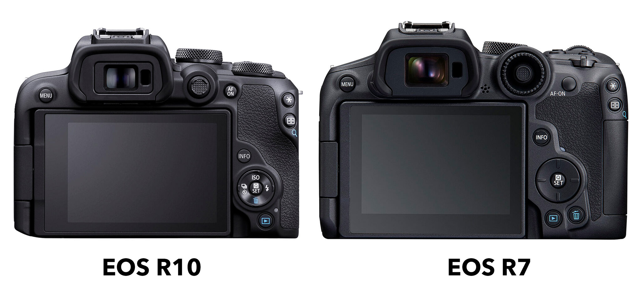 Canon EOS R10 vs R7 vs RP: Which Camera SHOULD You Buy? 