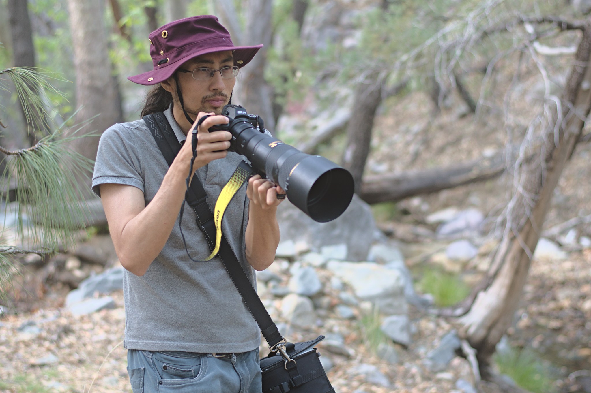 hoofdpijn Indiener pepermunt Choosing the Best Lens for Wildlife Photography