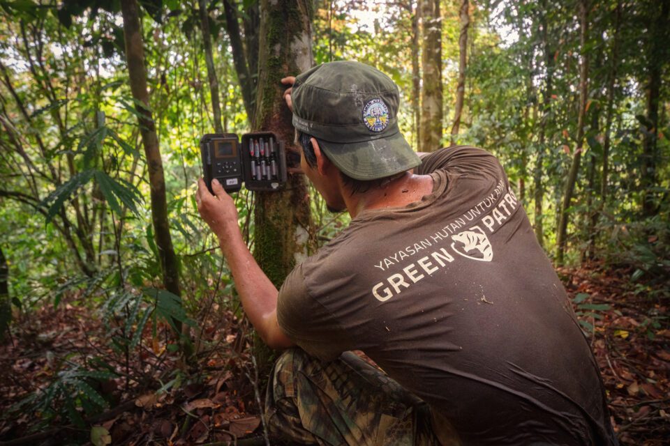 Riki - Green Patrol member, Sumatra project