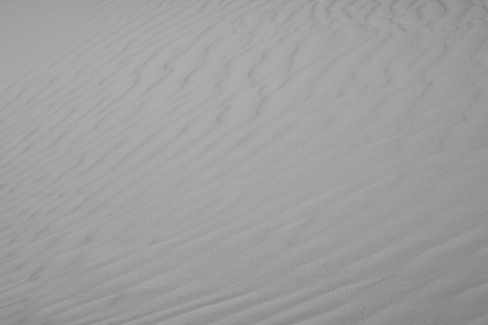 Dull black and white photo of sand dunes with no subject separation