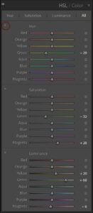 How To Use The HSL/Color Panel In Adobe Lightroom