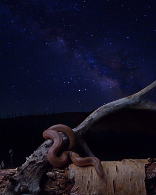 rubber boa and the milkyway double exposure