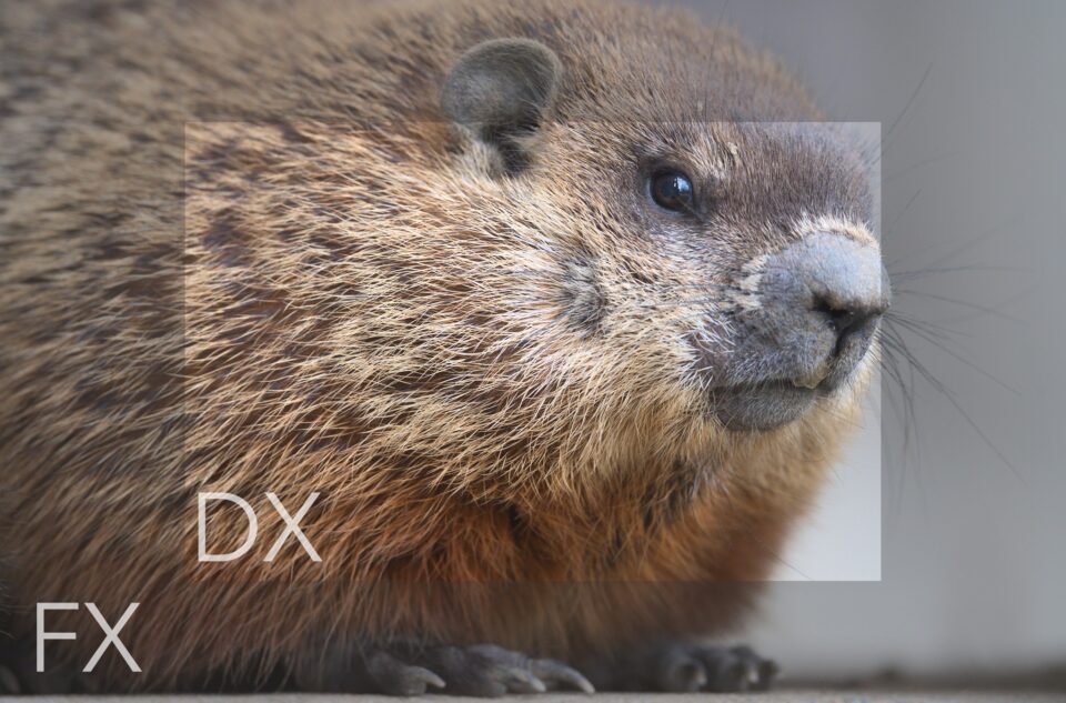 DX_vs_FX_Groundhog