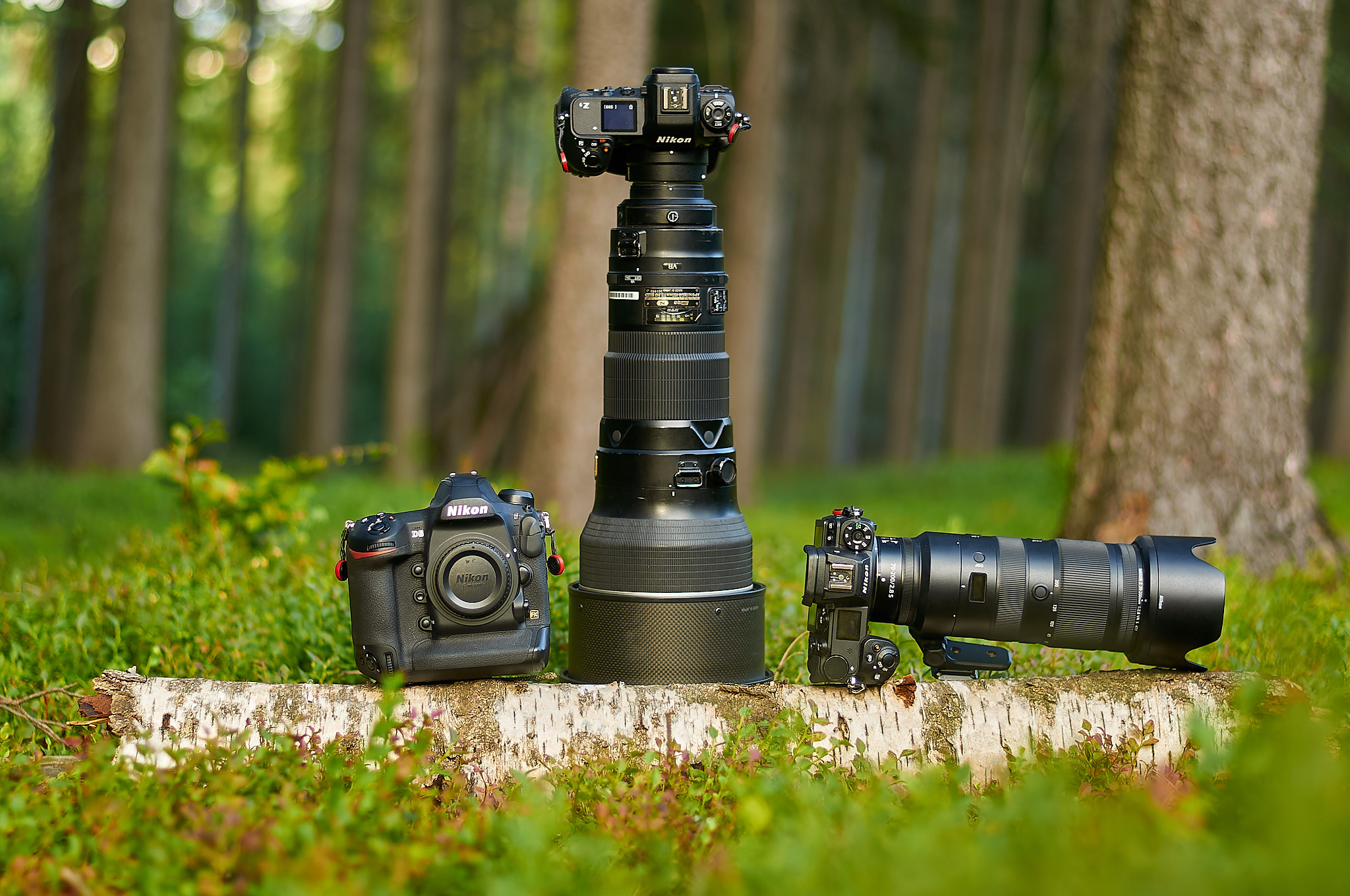 Guggenheim Museum isolatie worstelen The Best Nikon Cameras for Wildlife Photography (2023)