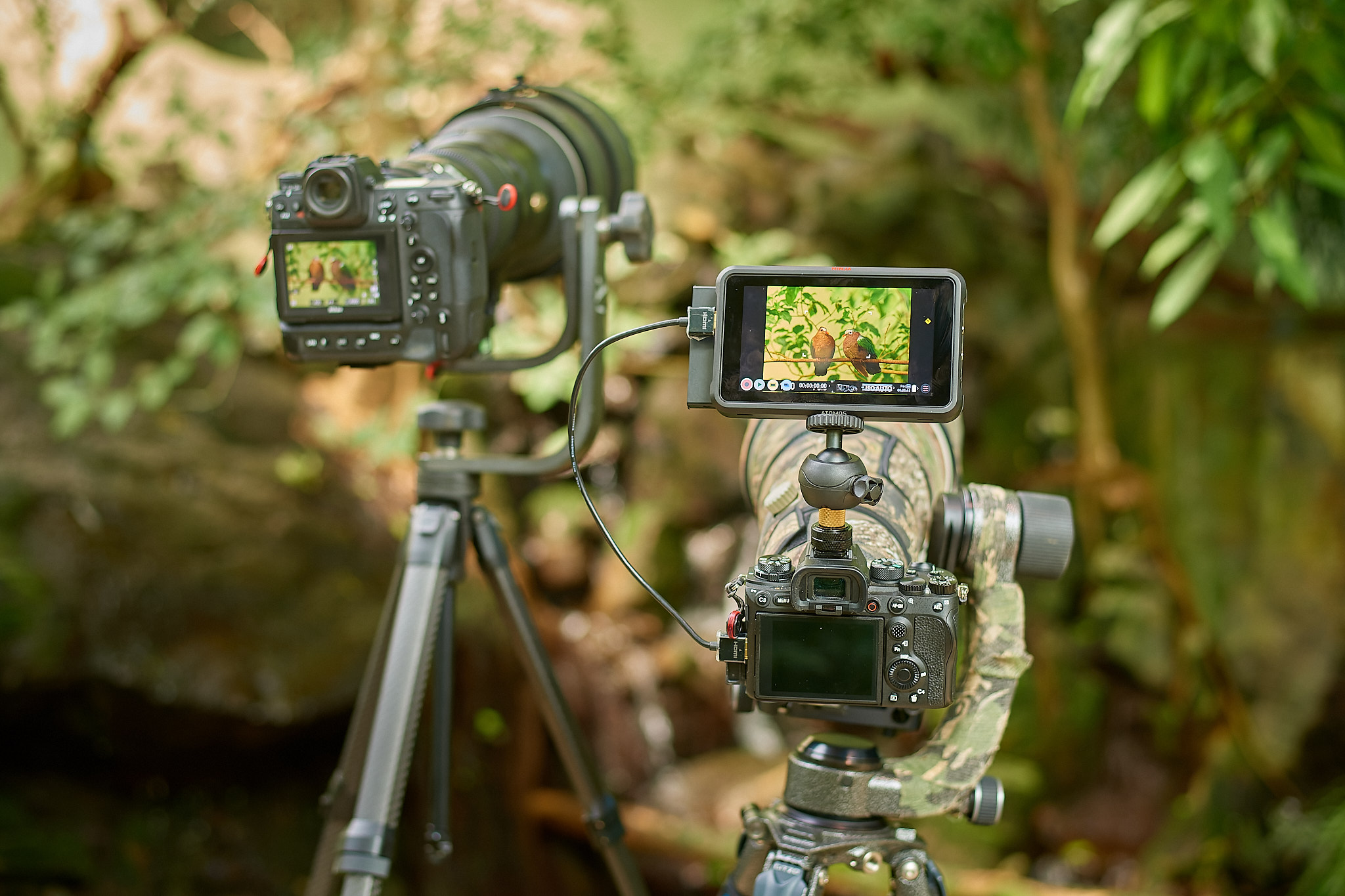 Nikon Z9 thoughts and what to expect on the video side - a game of Follow  My Leader (Sony A1) -  - Filmmaking Gear and Camera Reviews