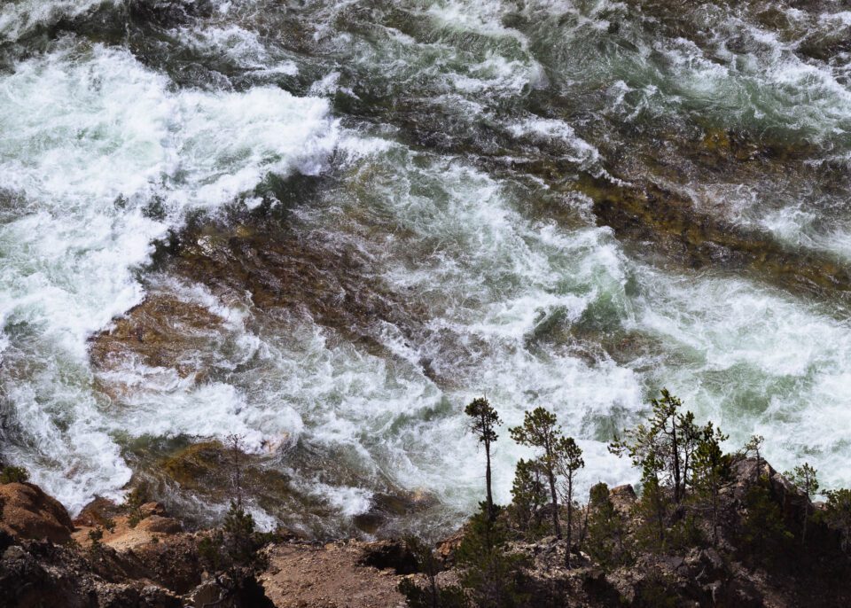 Yellowstone River and Trees Abstract Landscape Photo Nikon Z9 Sample
