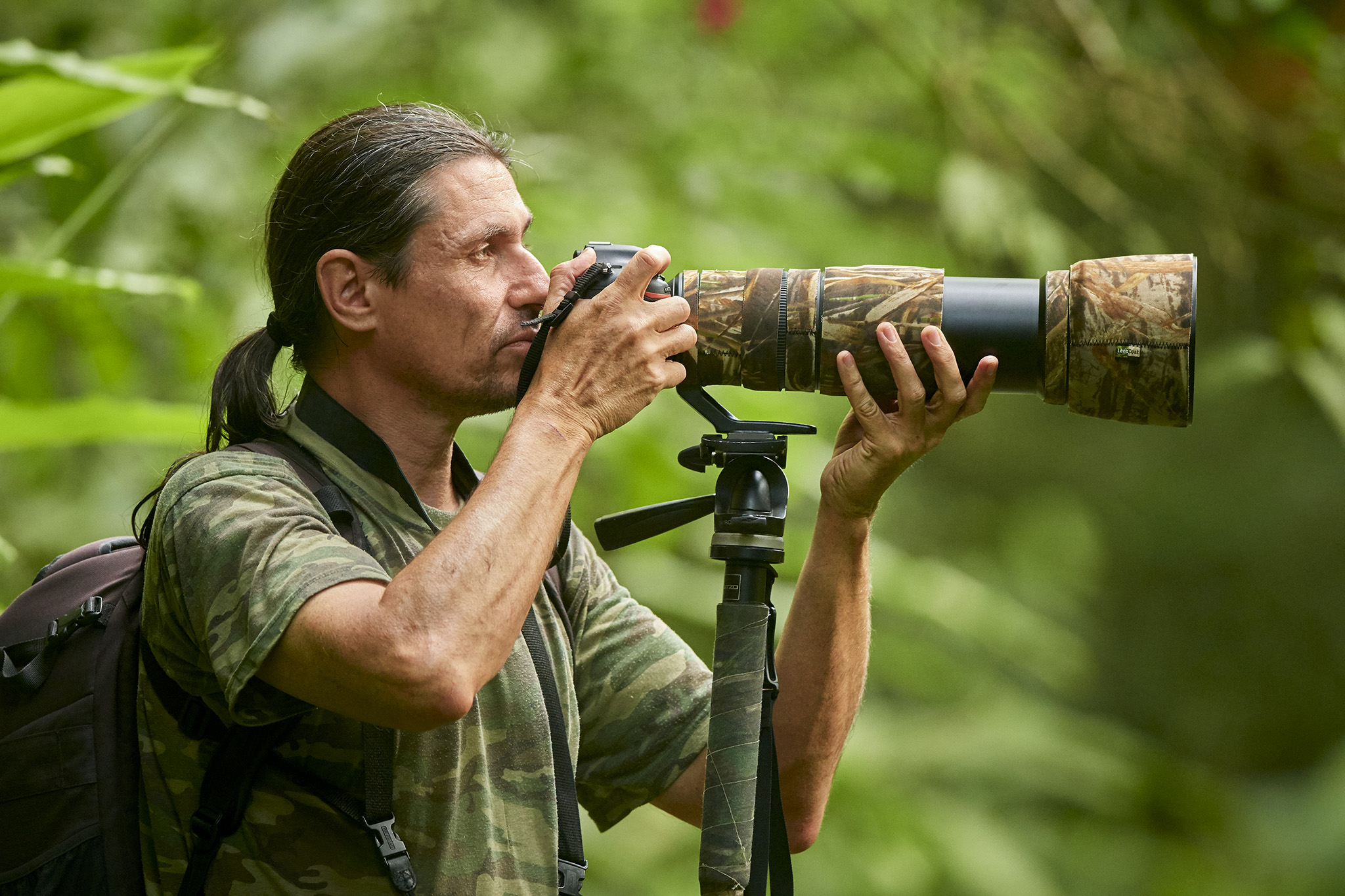 Nikon D500 & 200-500mm f/5.6: The Ultimate Budget Wildlife Combo