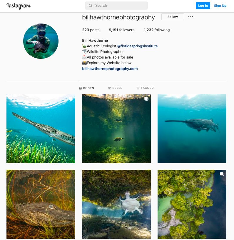 La page instagram de Bill Hawthorne utilise des bobines pour devenir influenceur instagram