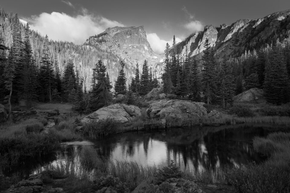 Nikon Z 24-120mm f4 S Black and white landscape