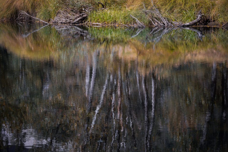Nikon Z 24-120mm f4 S Sample Image 23 Reflection in Merced River
